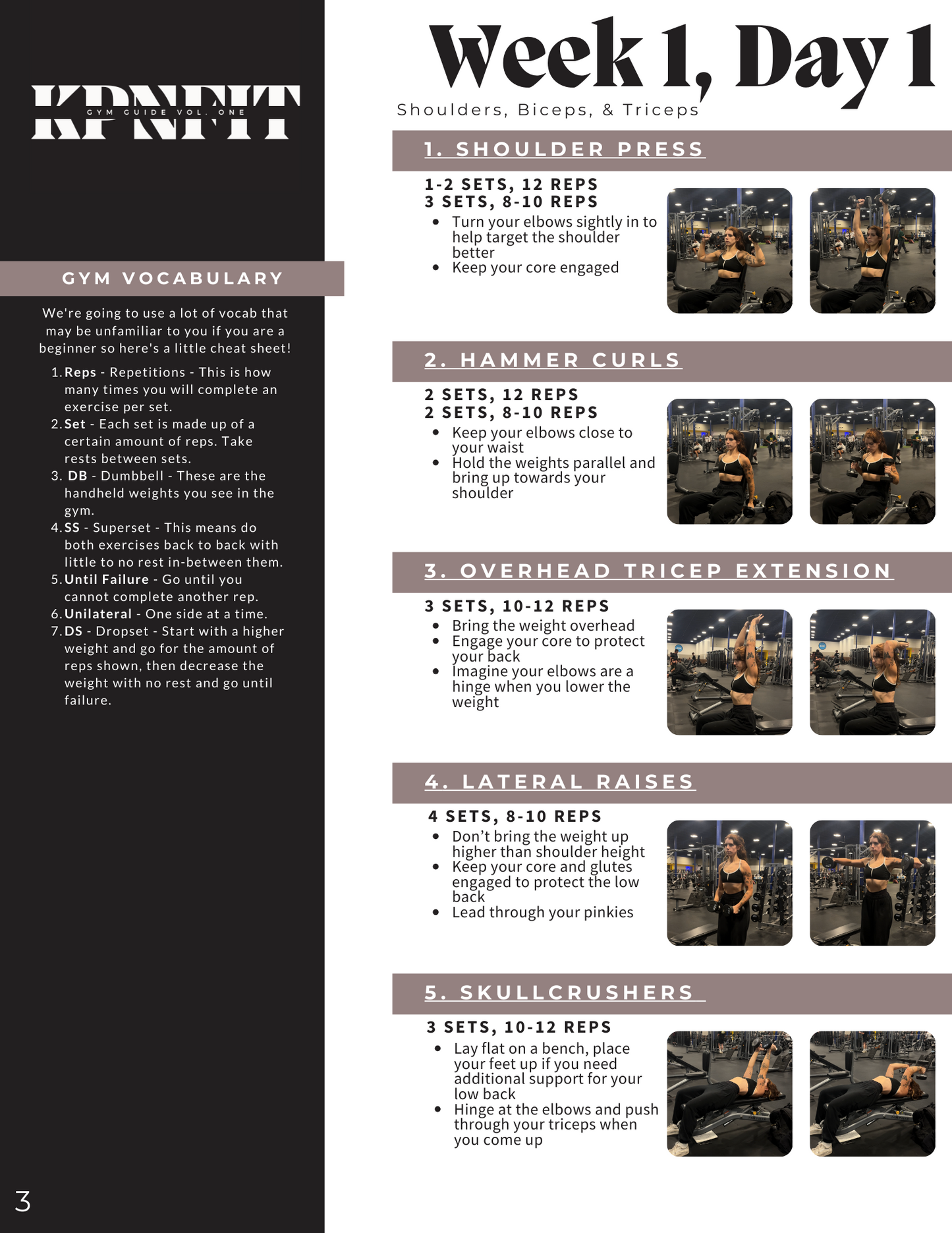 GUIDE TO THE GYM: VOL 1 - Reworked